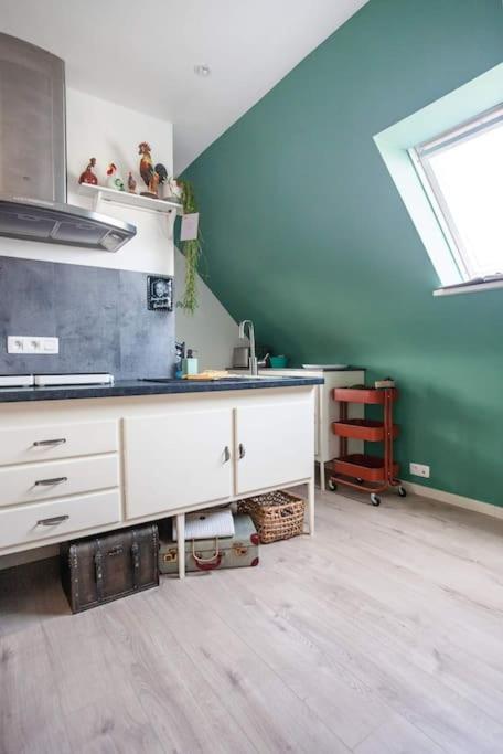 Zalig Cosy Appartement 2-4 Pers.Fietsen & Tuin Де-Хаан Экстерьер фото